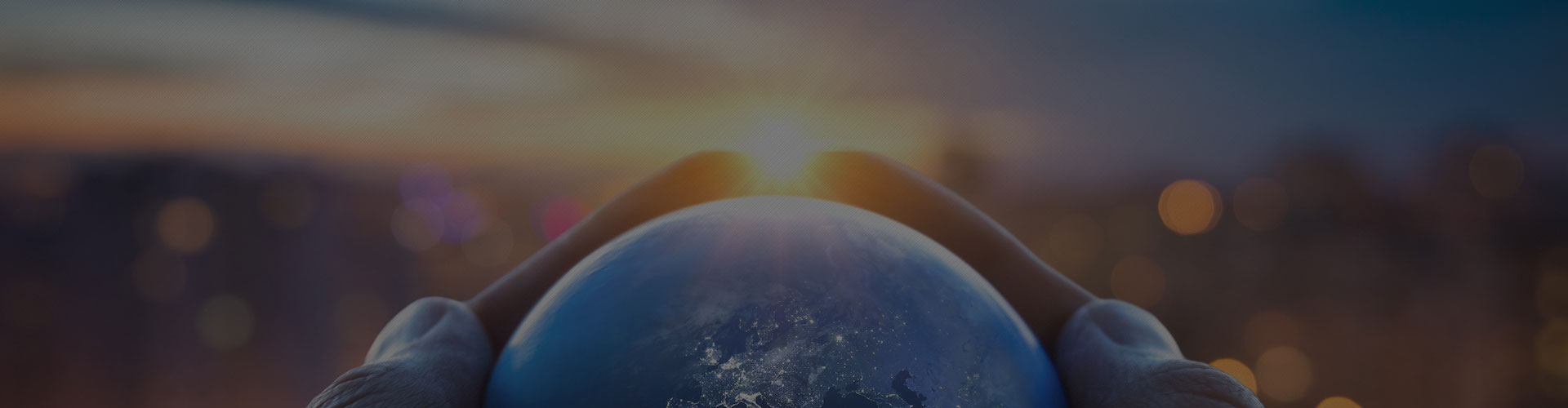 MGI Global Network